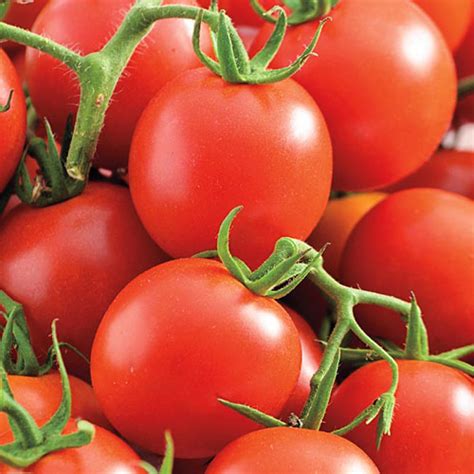 Tomato Mountain Magic: Unconventional Ways to Use Tomatoes in Your Kitchen